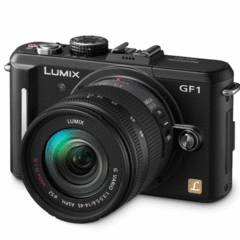 Panasonic Lumix DMC-GF1 with Micro 14-45mm Kit
