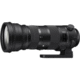 Sports 150-600mm f/5-6.3 DG OS HSM for Nikon F