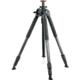 Auctus Plus 283CT Carbon Fiber
