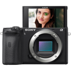 Sony Alpha a6600